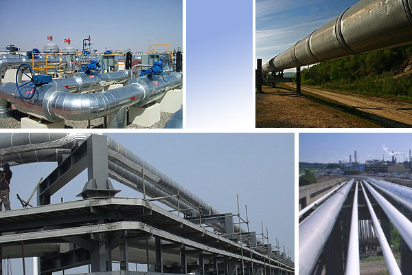 �L(zh��ng)�ܵ���(li��n)늟Ꭷʹ��