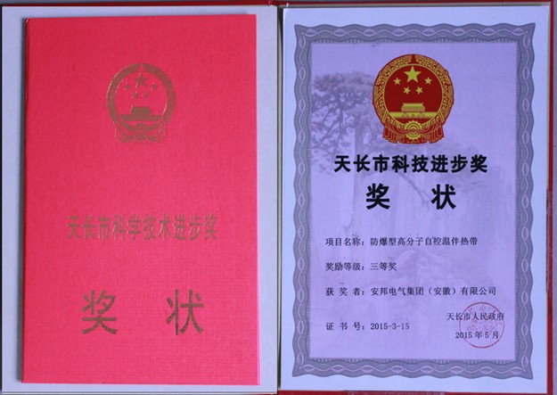 ����F�s�@�Ƽ��M����1