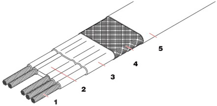 VLBTV2-CT�M�������{(di��o)�ذ����|�Y(ji��)��(g��u)�D