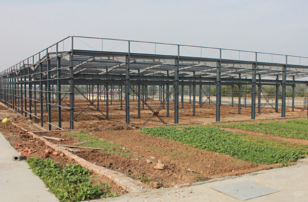 늰��S�����ڽ��O(sh��)