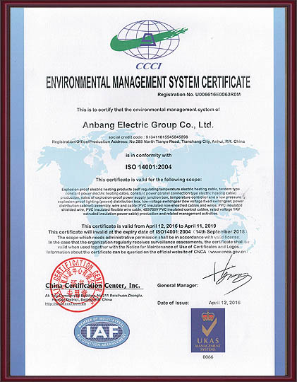 ISO14001:2004�h(hu��n)�������wϵ�J(r��n)�C��Ӣ�İ棩