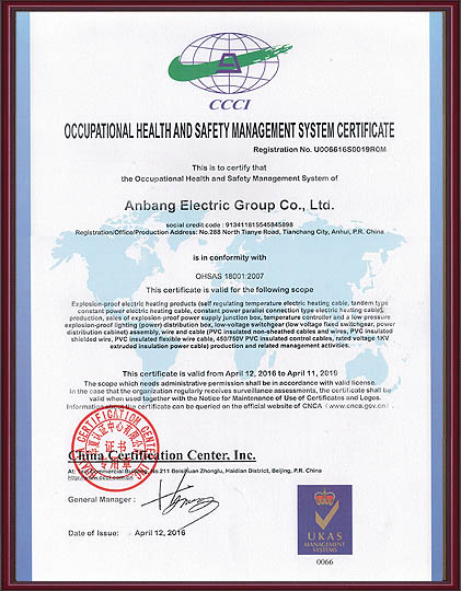 �I(y��)������ȫ�����wϵ�J(r��n)�C�C��Ӣ�İ�